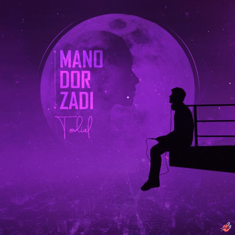 دانلود آهنگ تودیال منو دور زدی
